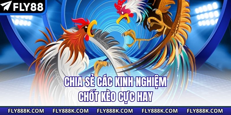 Chia sẻ các kinh nghiệm chốt kèo cực hay