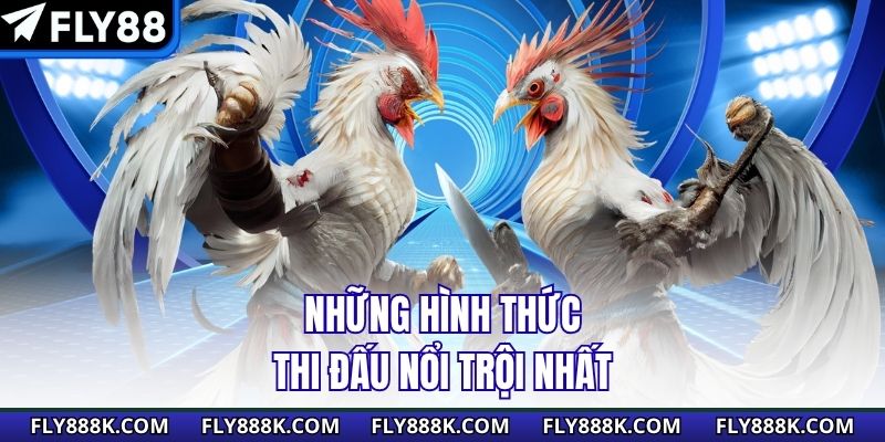 Những hình thức thi đấu nổi trội nhất